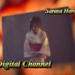 Sarasa Hara DIGITAL CHANNEL